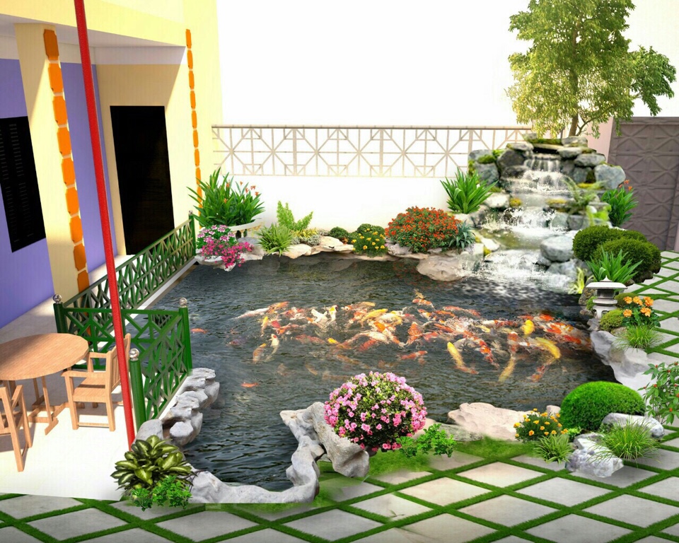 hồ cá koi sân vườn nhà phố -2